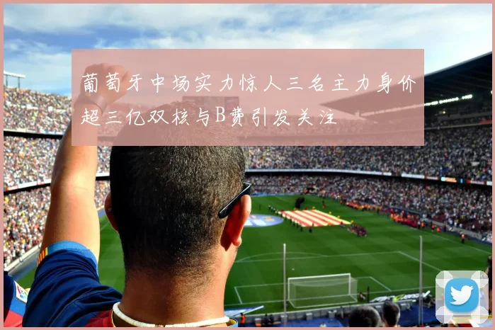 葡萄牙中场实力惊人三名主力身价超三亿双核与B费引发关注